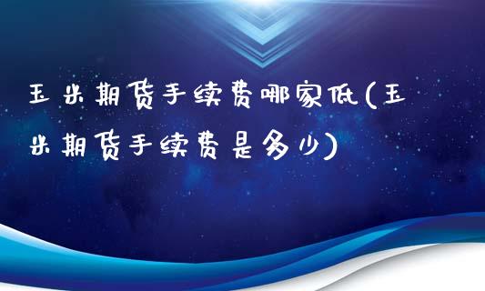玉米期货手续费哪家低(玉米期货手续费是多少)_https://www.zztgc.com_原油期货_第1张