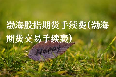 渤海股指期货手续费(渤海期货交易手续费)_https://www.zztgc.com_期货直播_第1张