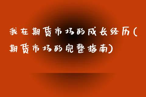 我在期货市场的成长经历(期货市场的完整指南)_https://www.zztgc.com_期货直播_第1张