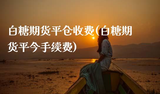 白糖期货平仓收费(白糖期货平今手续费)_https://www.zztgc.com_期货入门_第1张