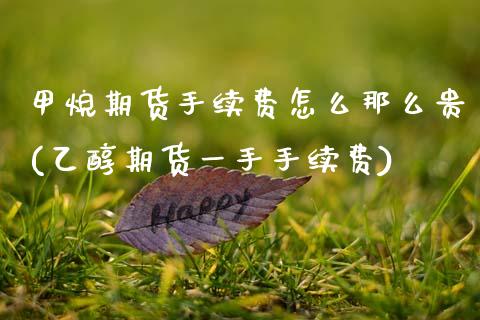 甲烷期货手续费怎么那么贵(乙醇期货一手手续费)_https://www.zztgc.com_期货直播_第1张