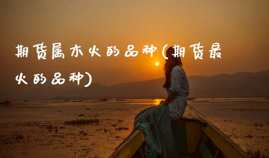 期货属木火的品种(期货最火的品种)_https://www.zztgc.com_期货入门_第1张