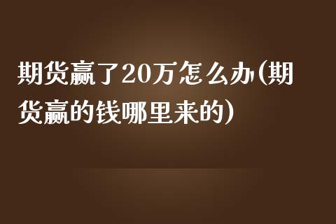 期货赢了20万怎么办(期货赢的钱哪里来的)_https://www.zztgc.com_期货开户_第1张