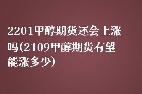2201甲醇期货还会上涨吗(2109甲醇期货有望能涨多少)_https://www.zztgc.com_黄金期货_第1张