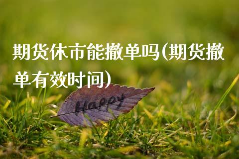 期货休市能撤单吗(期货撤单有效时间)_https://www.zztgc.com_期货行情_第1张