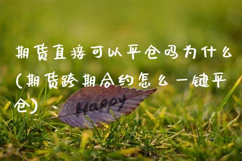 期货直接可以平仓吗为什么(期货跨期合约怎么一键平仓)_https://www.zztgc.com_期货行情_第1张