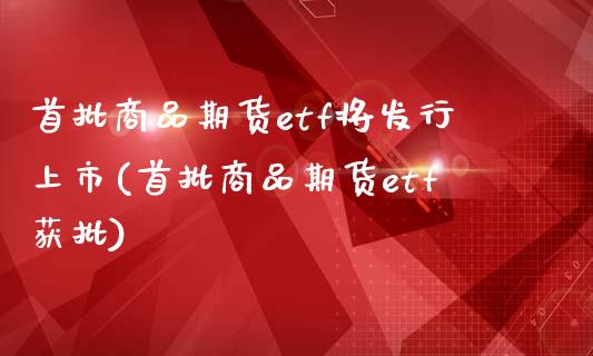 首批商品期货etf将发行上市(首批商品期货etf获批)_https://www.zztgc.com_原油期货_第1张
