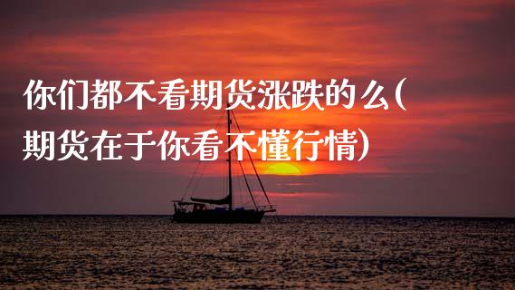 你们都不看期货涨跌的么(期货在于你看不懂行情)_https://www.zztgc.com_原油期货_第1张