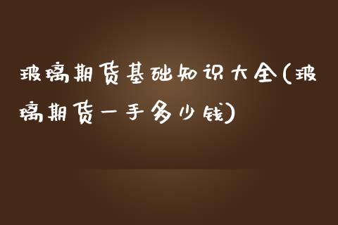 玻璃期货基础知识大全(玻璃期货一手多少钱)_https://www.zztgc.com_期货直播_第1张