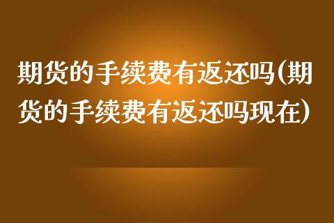 期货的手续费有返还吗(期货的手续费有返还吗现在)_https://www.zztgc.com_期货行情_第1张