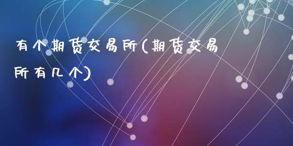 有个期货交易所(期货交易所有几个)_https://www.zztgc.com_期货开户_第1张