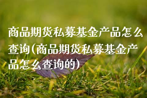 商品期货私募基金产品怎么查询(商品期货私募基金产品怎么查询的)_https://www.zztgc.com_期货入门_第1张