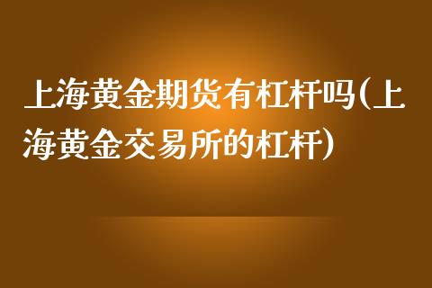 上海黄金期货有杠杆吗(上海黄金交易所的杠杆)_https://www.zztgc.com_期货入门_第1张