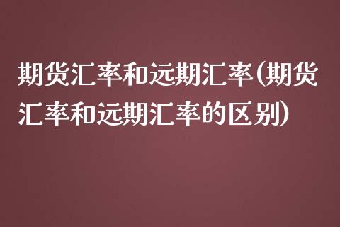 期货汇率和远期汇率(期货汇率和远期汇率的区别)_https://www.zztgc.com_期货开户_第1张