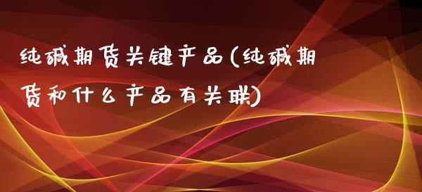 纯碱期货关键产品(纯碱期货和什么产品有关联)_https://www.zztgc.com_黄金期货_第1张