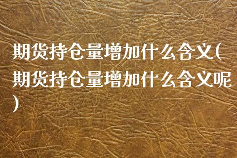 期货持仓量增加什么含义(期货持仓量增加什么含义呢)_https://www.zztgc.com_期货入门_第1张