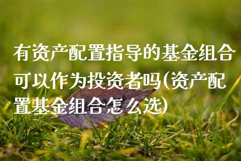 有资产配置指导的基金组合可以作为投资者吗(资产配置基金组合怎么选)_https://www.zztgc.com_期货开户_第1张