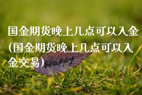 国金期货晚上几点可以入金(国金期货晚上几点可以入金交易)_https://www.zztgc.com_期货入门_第1张