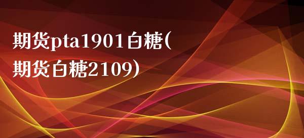 期货pta1901白糖(期货白糖2109)_https://www.zztgc.com_期货入门_第1张