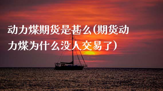 动力煤期货是甚么(期货动力煤为什么没人交易了)_https://www.zztgc.com_期货入门_第1张
