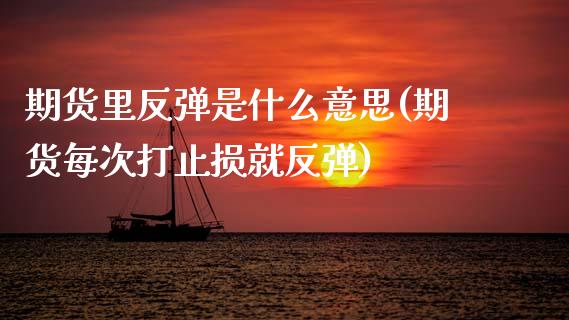 期货里反弹是什么意思(期货每次打止损就反弹)_https://www.zztgc.com_原油期货_第1张