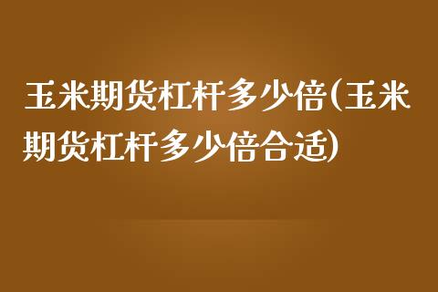 玉米期货杠杆多少倍(玉米期货杠杆多少倍合适)_https://www.zztgc.com_期货行情_第1张