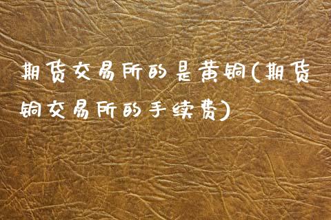 期货交易所的是黄铜(期货铜交易所的手续费)_https://www.zztgc.com_黄金期货_第1张