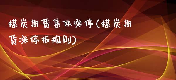 煤炭期货集体涨停(煤炭期货涨停板规则)_https://www.zztgc.com_期货入门_第1张