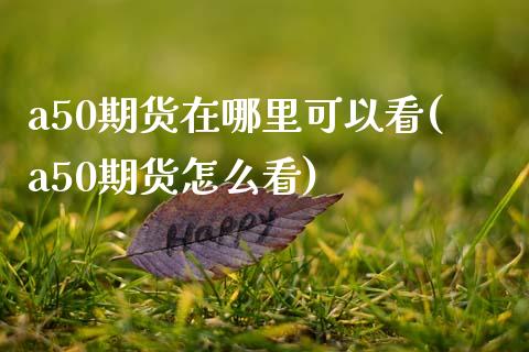 a50期货在哪里可以看(a50期货怎么看)_https://www.zztgc.com_原油期货_第1张