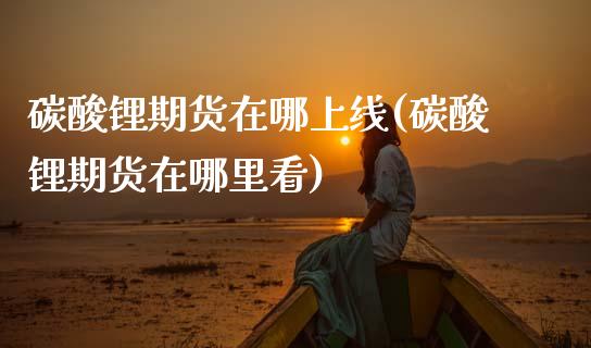 碳酸锂期货在哪上线(碳酸锂期货在哪里看)_https://www.zztgc.com_期货入门_第1张