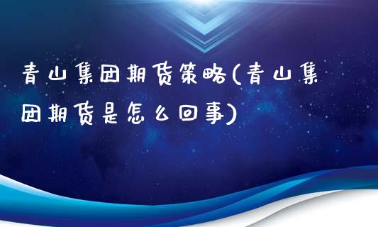 青山集团期货策略(青山集团期货是怎么回事)_https://www.zztgc.com_黄金期货_第1张