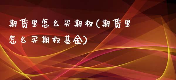 期货里怎么买期权(期货里怎么买期权基金)_https://www.zztgc.com_期货直播_第1张