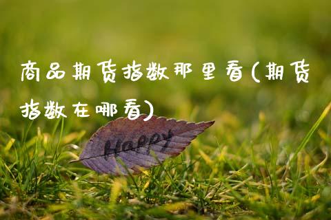 商品期货指数那里看(期货指数在哪看)_https://www.zztgc.com_期货开户_第1张