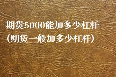 期货5000能加多少杠杆(期货一般加多少杠杆)_https://www.zztgc.com_期货直播_第1张