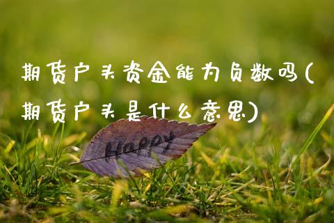 期货户头资金能为负数吗(期货户头是什么意思)_https://www.zztgc.com_原油期货_第1张