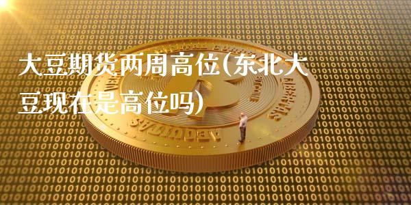 大豆期货两周高位(东北大豆现在是高位吗)_https://www.zztgc.com_原油期货_第1张