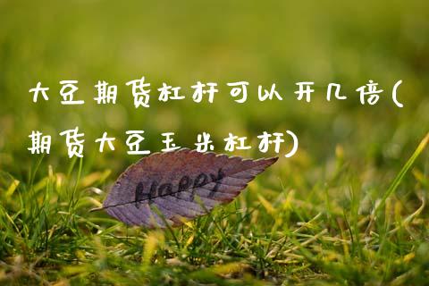 大豆期货杠杆可以开几倍(期货大豆玉米杠杆)_https://www.zztgc.com_黄金期货_第1张