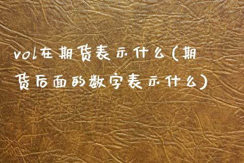 vol在期货表示什么(期货后面的数字表示什么)_https://www.zztgc.com_期货入门_第1张