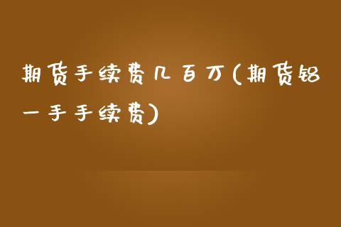 期货手续费几百万(期货铝一手手续费)_https://www.zztgc.com_期货直播_第1张