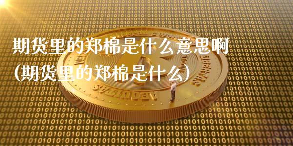 期货里的郑棉是什么意思啊(期货里的郑棉是什么)_https://www.zztgc.com_期货行情_第1张
