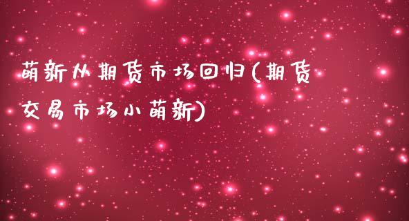 萌新从期货市场回归(期货交易市场小萌新)_https://www.zztgc.com_期货入门_第1张