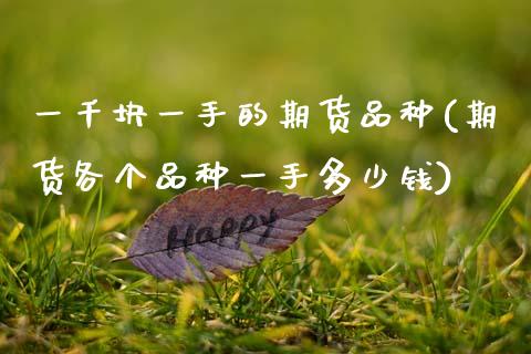 一千块一手的期货品种(期货各个品种一手多少钱)_https://www.zztgc.com_原油期货_第1张