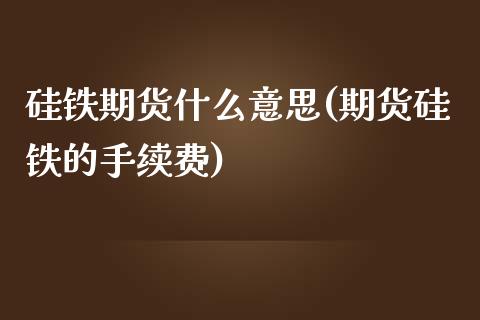 硅铁期货什么意思(期货硅铁的手续费)_https://www.zztgc.com_期货行情_第1张