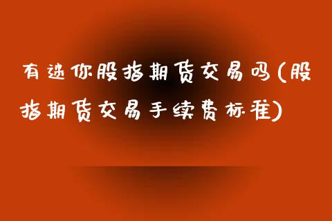 有迷你股指期货交易吗(股指期货交易手续费标准)_https://www.zztgc.com_期货入门_第1张