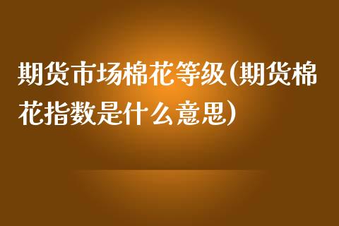 期货市场棉花等级(期货棉花指数是什么意思)_https://www.zztgc.com_黄金期货_第1张
