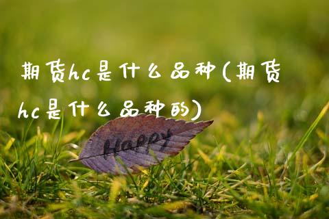期货hc是什么品种(期货hc是什么品种的)_https://www.zztgc.com_期货入门_第1张
