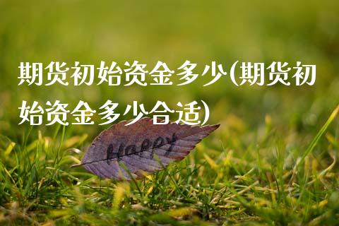 期货初始资金多少(期货初始资金多少合适)_https://www.zztgc.com_期货入门_第1张