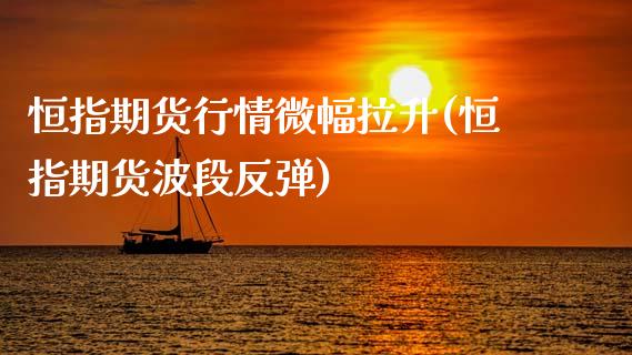 恒指期货行情微幅拉升(恒指期货波段反弹)_https://www.zztgc.com_期货直播_第1张