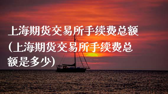 上海期货交易所手续费总额(上海期货交易所手续费总额是多少)_https://www.zztgc.com_期货入门_第1张