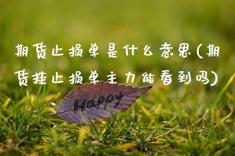 期货止损单是什么意思(期货挂止损单主力能看到吗)_https://www.zztgc.com_黄金期货_第1张